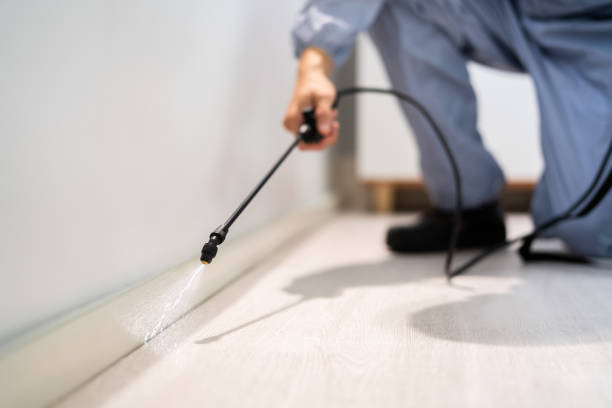Licensed Pest Control service in North Lima, OH - Show Me Pest Control
