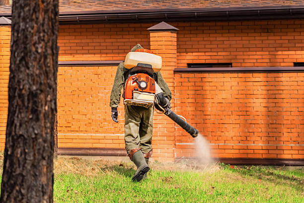 Bed Bug Clearance Verification and Documentation in North Lima